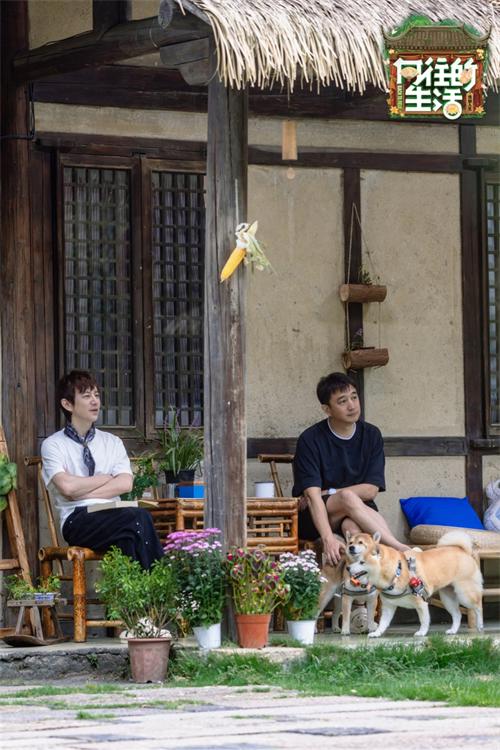 1761538869167989.jpg 1.jpg