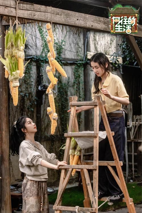 1761538896218069.jpg 5.jpg