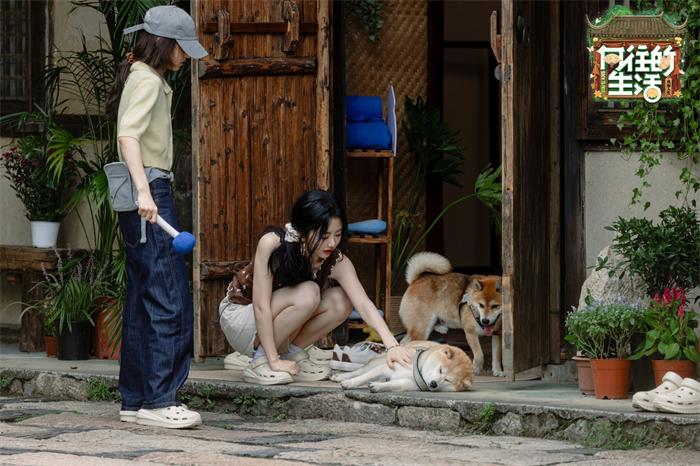 1761538901141875.jpg 6.jpg